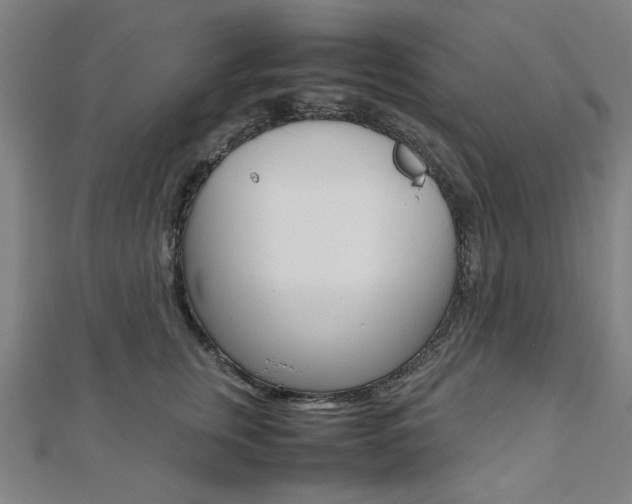 X0000112050759200908040949