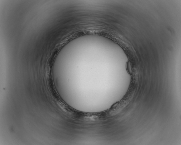 X0000112050760200908040949