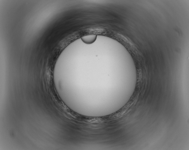 X0000112050761200908040950