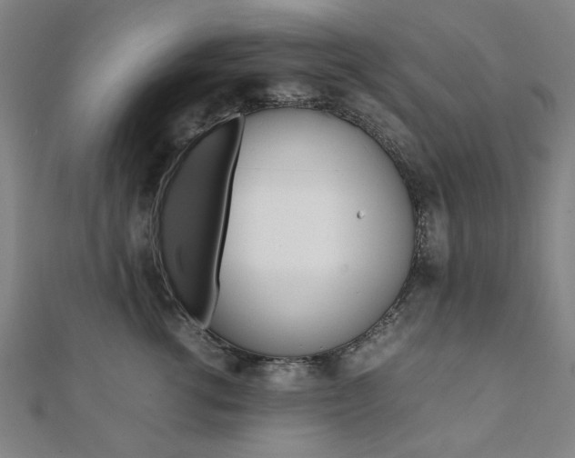 X0000112050762200908040950