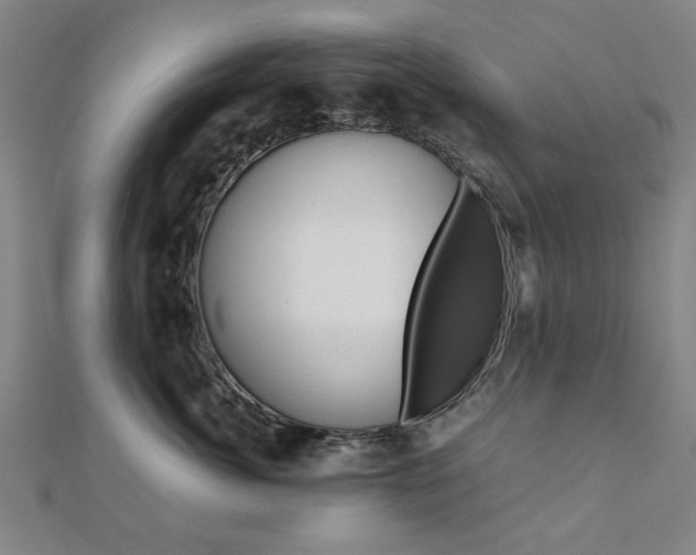 X0000112050764200908040950