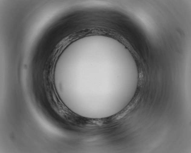 X0000112050765200908040950