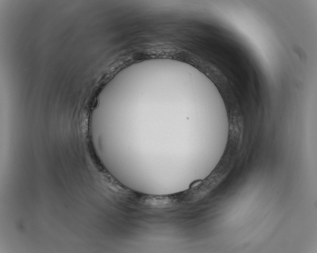 X0000112050767200908040950