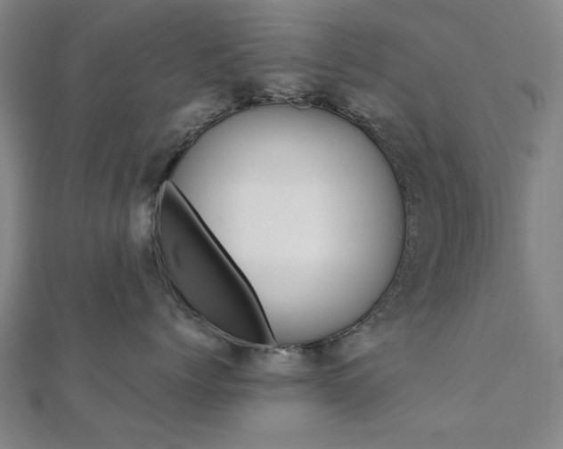 X0000112050768200908040950