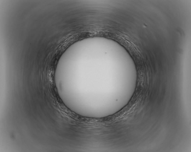 X0000112050770200908040949