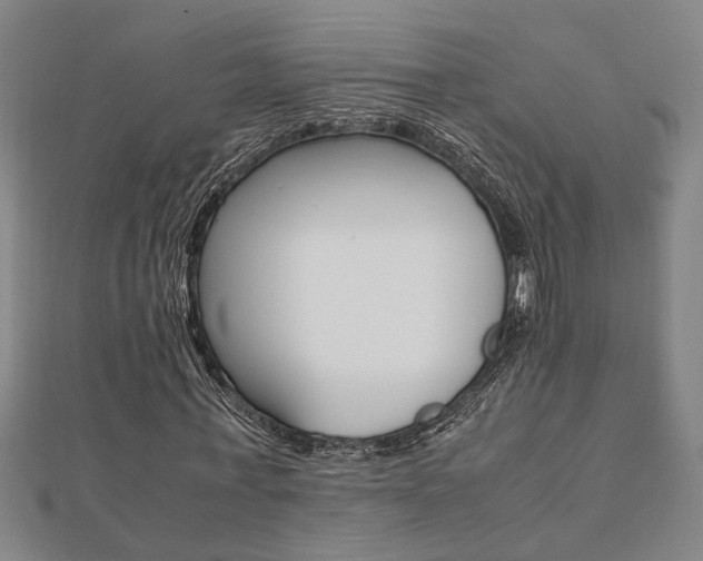 X0000112050771200908040949