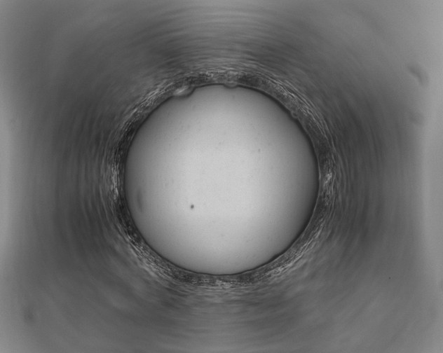 X0000112050772200908040949