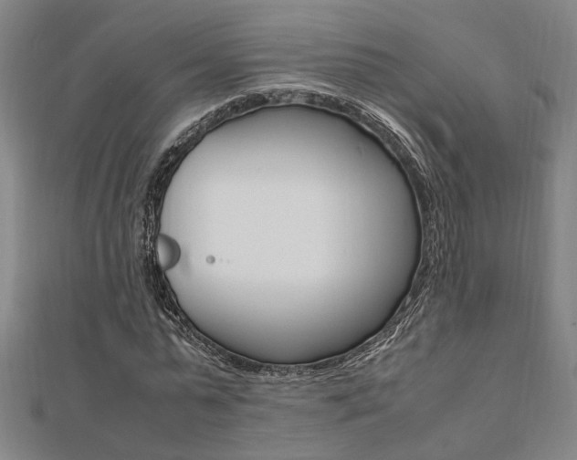 X0000112050775200908040949