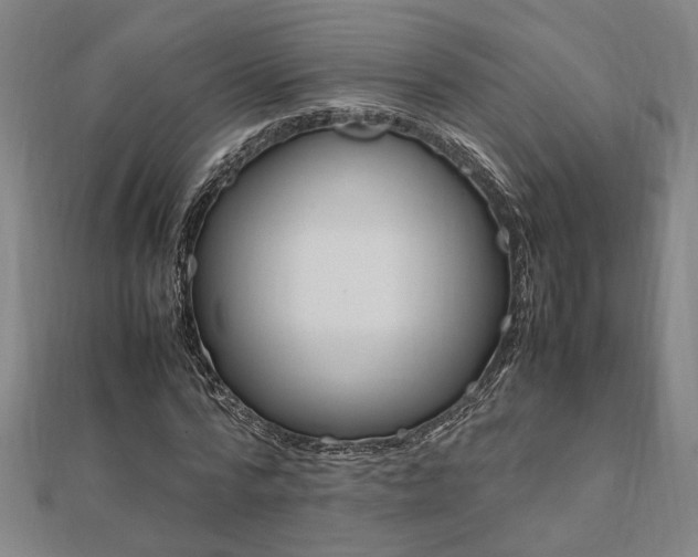 X0000112050776200908040949