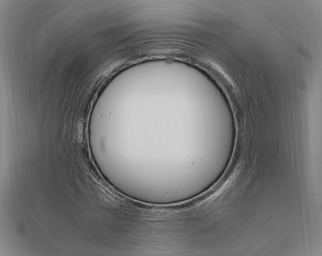 X0000112050777200908040949