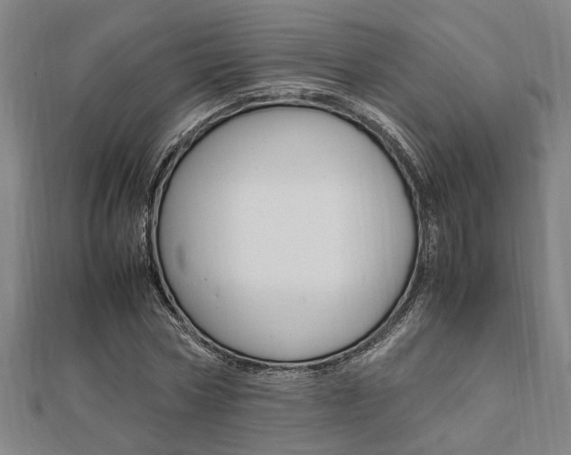X0000112050778200908040949