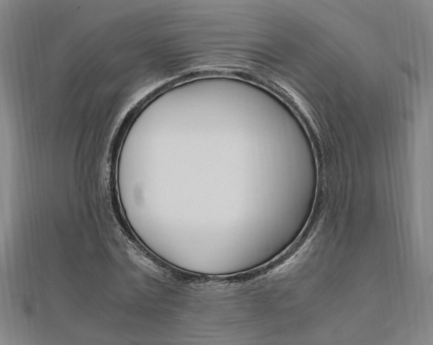 X0000112050779200908040949