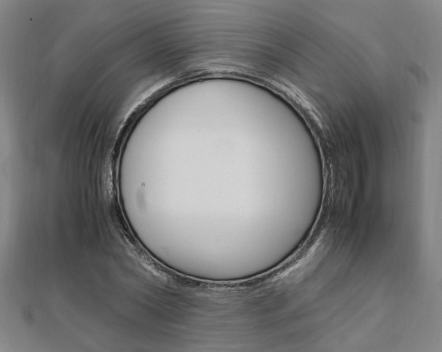 X0000112050782200908040949