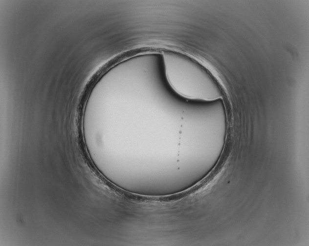 X0000112050783200908040949