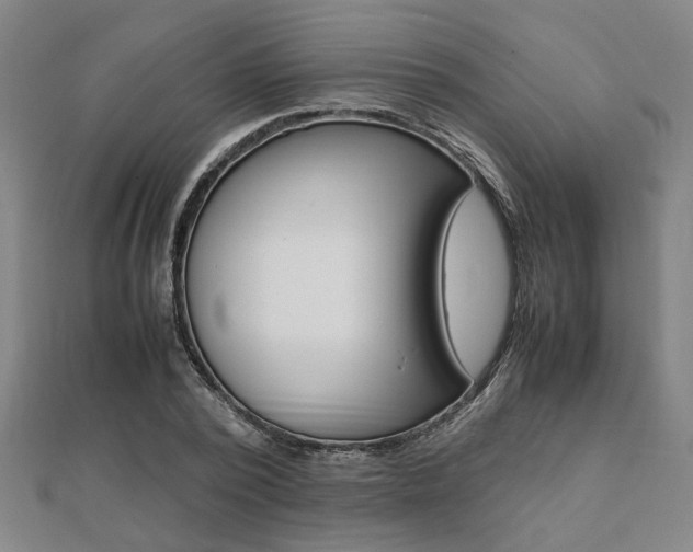 X0000112050784200908040949