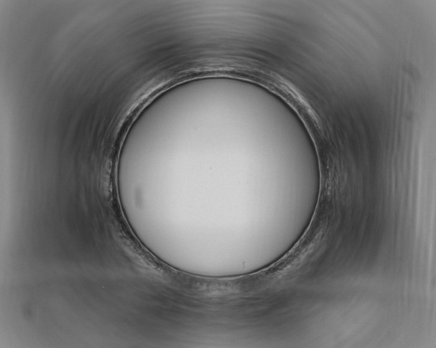 X0000112050786200908040949