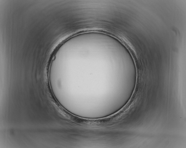 X0000112050789200908040949