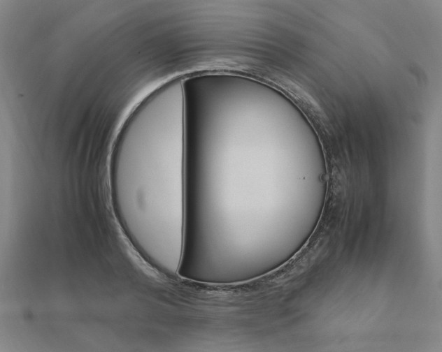 X0000112050792200908040949