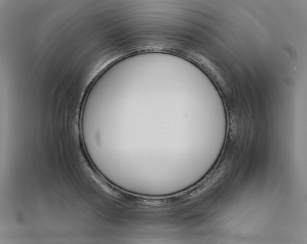 X0000112050794200908040949