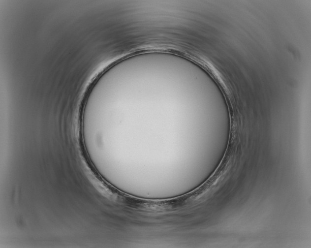 X0000112050795200908040949
