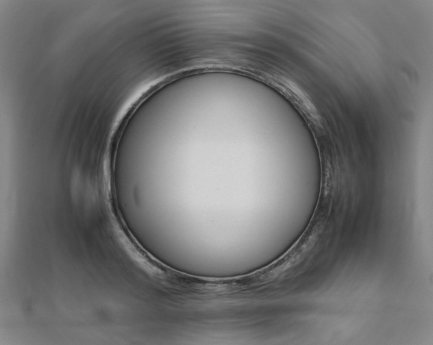 X0000112050796200908040949