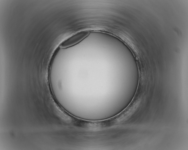 X0000112050797200908040949