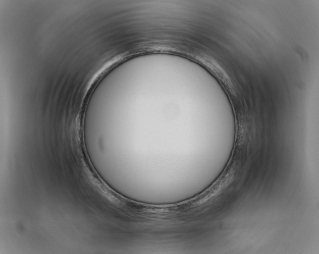 X0000112050798200908040949