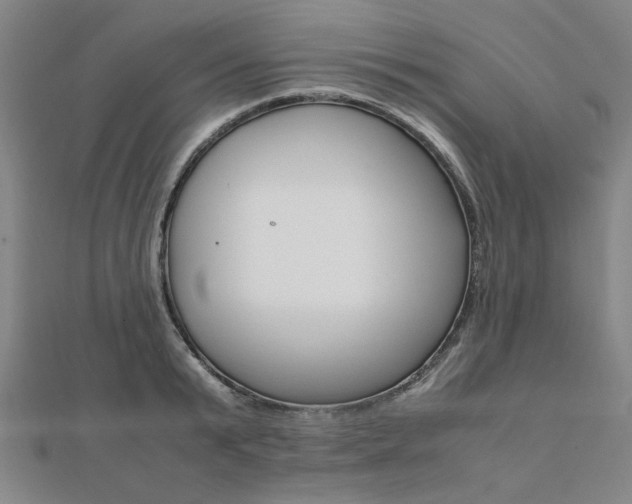 X0000112050799200908040949