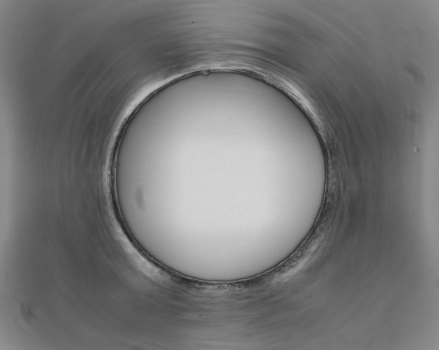 X0000112050803200908040949