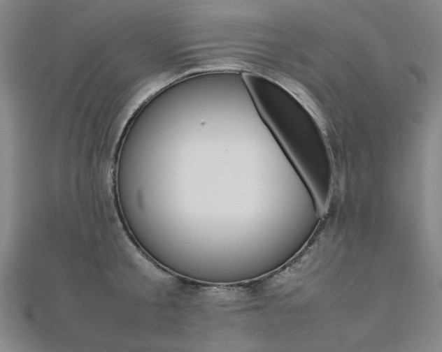 X0000112050805200908040949