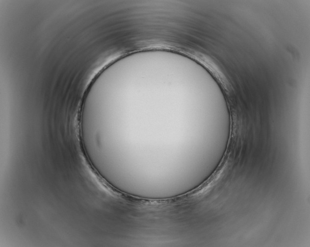 X0000112050806200908040949