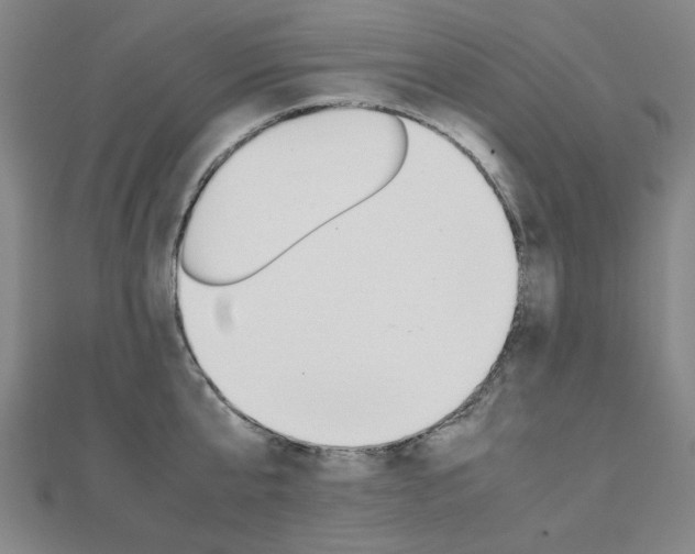 X0000112050807200908040948