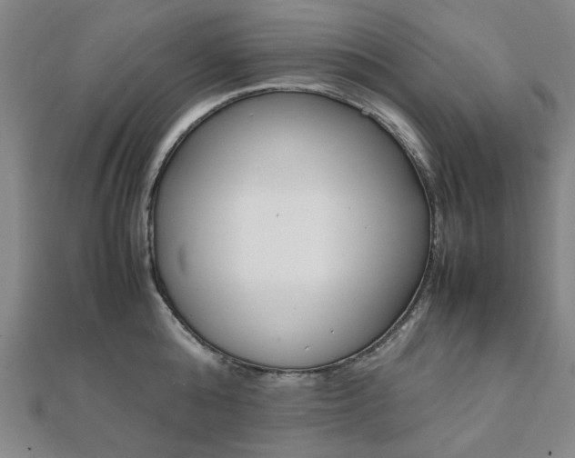 X0000112050808200908040948
