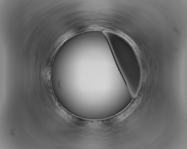 X0000112050809200908040948