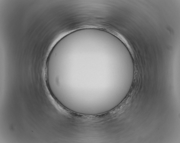 X0000112050811200908040948