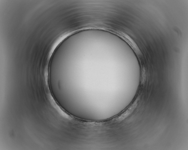 X0000112050812200908040948