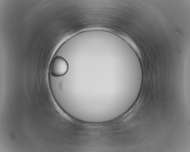 X0000112050813200908040948