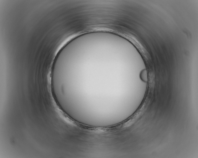 X0000112050814200908040948