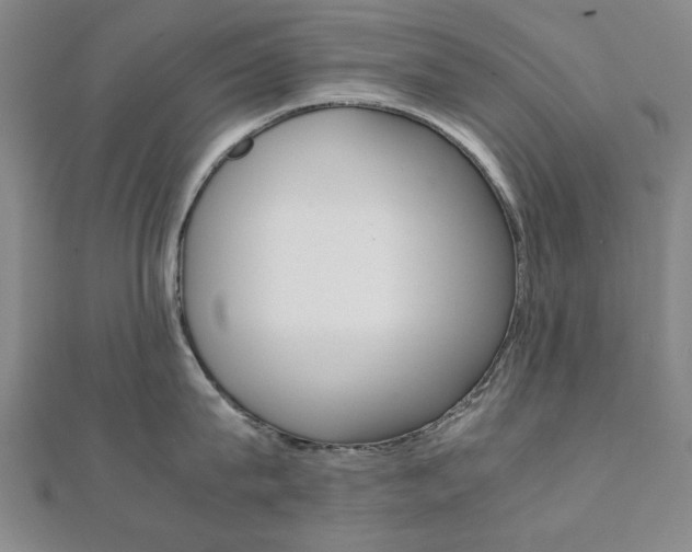 X0000112050815200908040948
