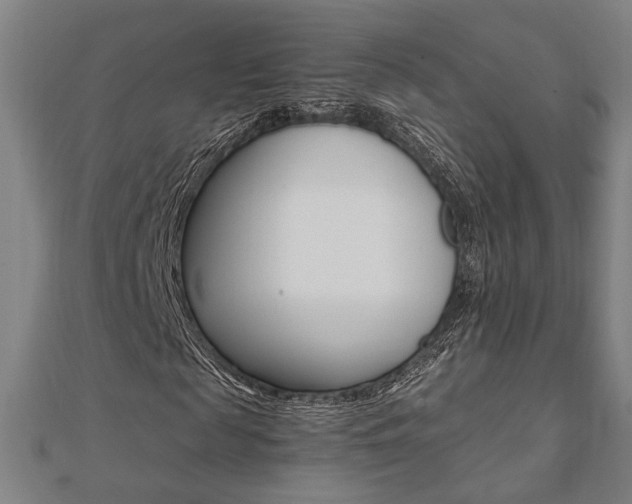 X0000112050817200908040948