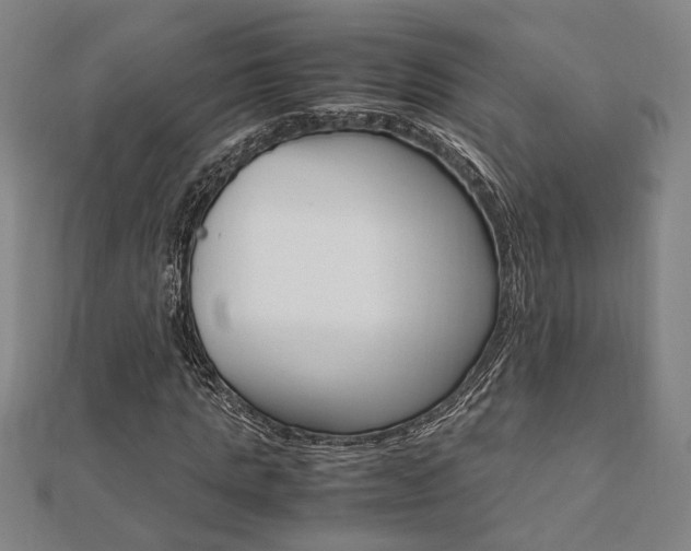 X0000112050821200908040948