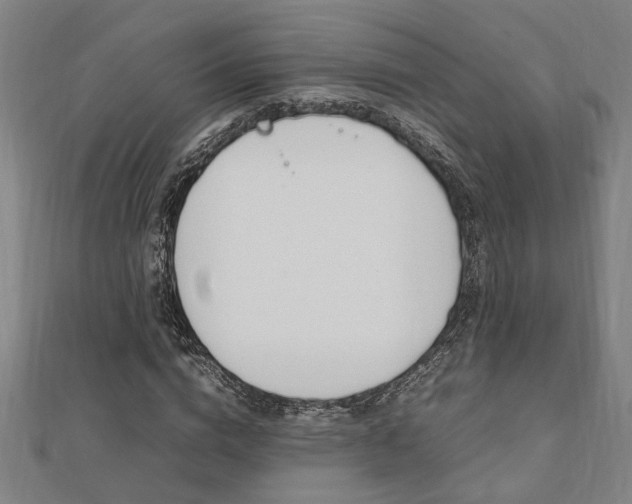 X0000112050824200908040948
