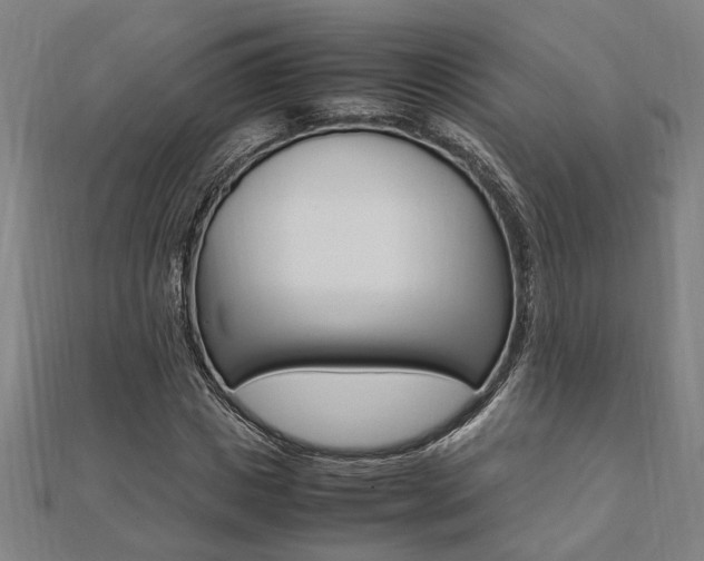 X0000112050825200908040948