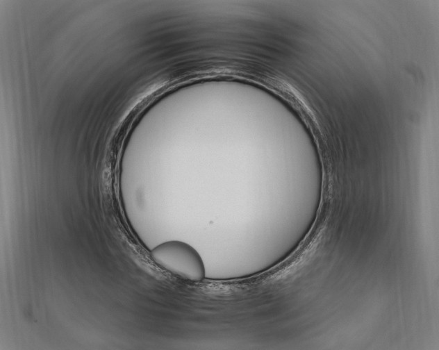 X0000112050827200908040948
