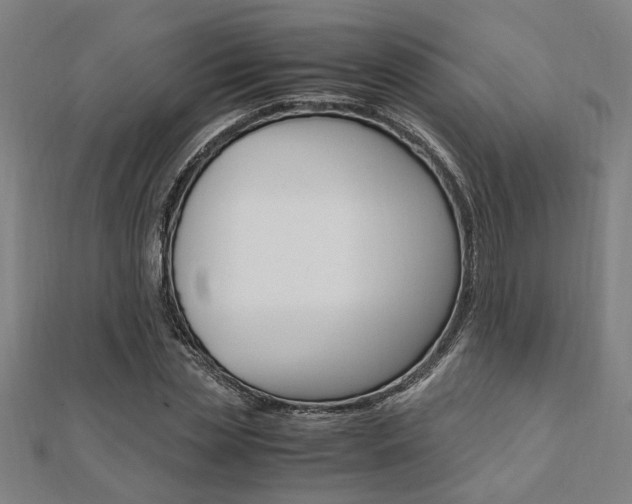 X0000112050829200908040948