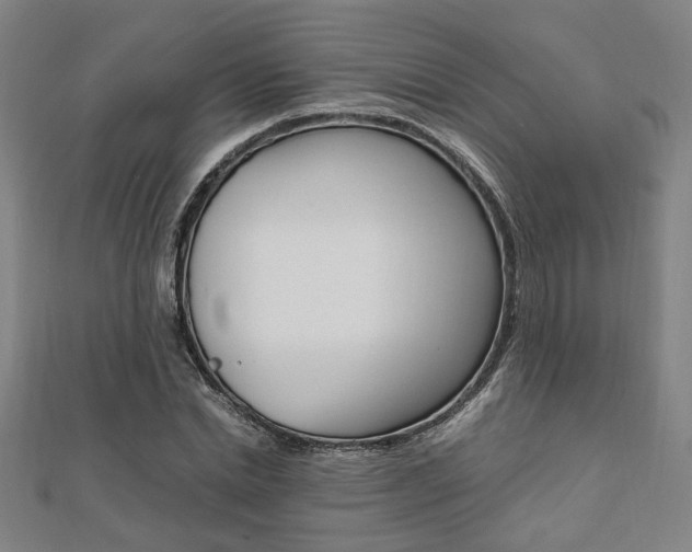 X0000112050830200908040948