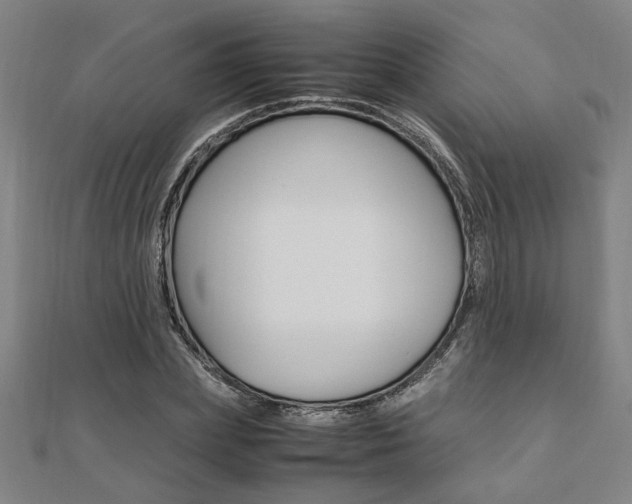 X0000112050831200908040948