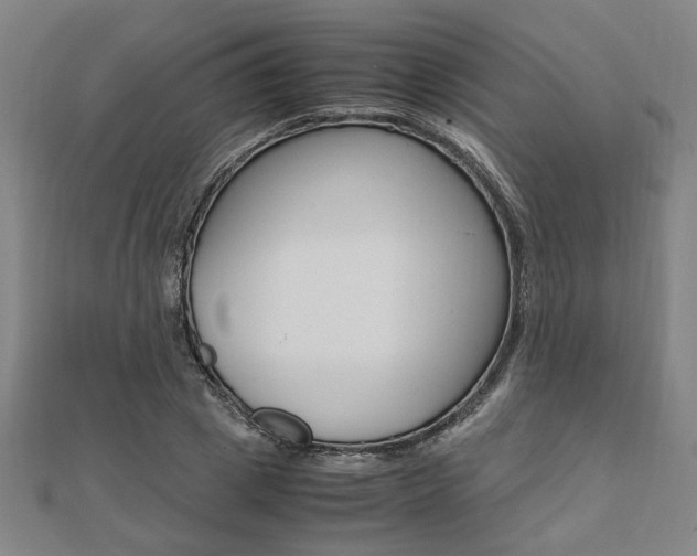 X0000112050833200908040948