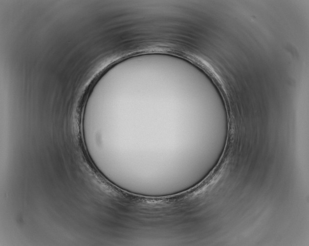 X0000112050835200908040948
