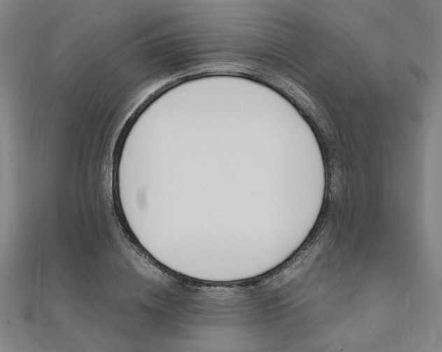 X0000112050836200908040948